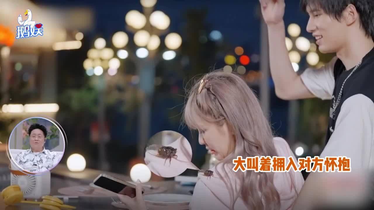 逗小猴开心系列169
